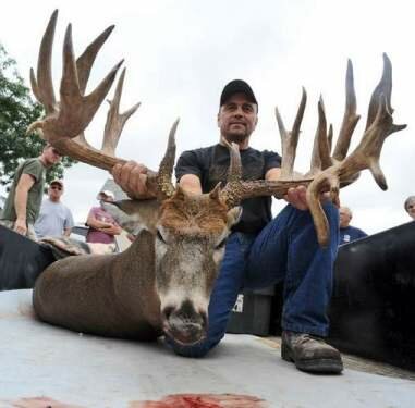 buck 30 point buck shot with bow in Wisconsin (photo and video)